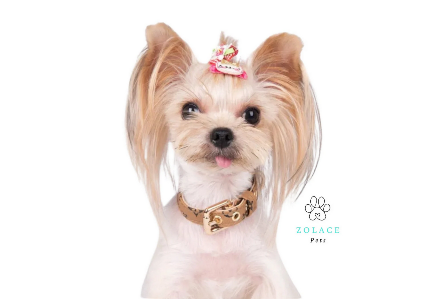 Chewy V Faux Leather Collar and Leash Set