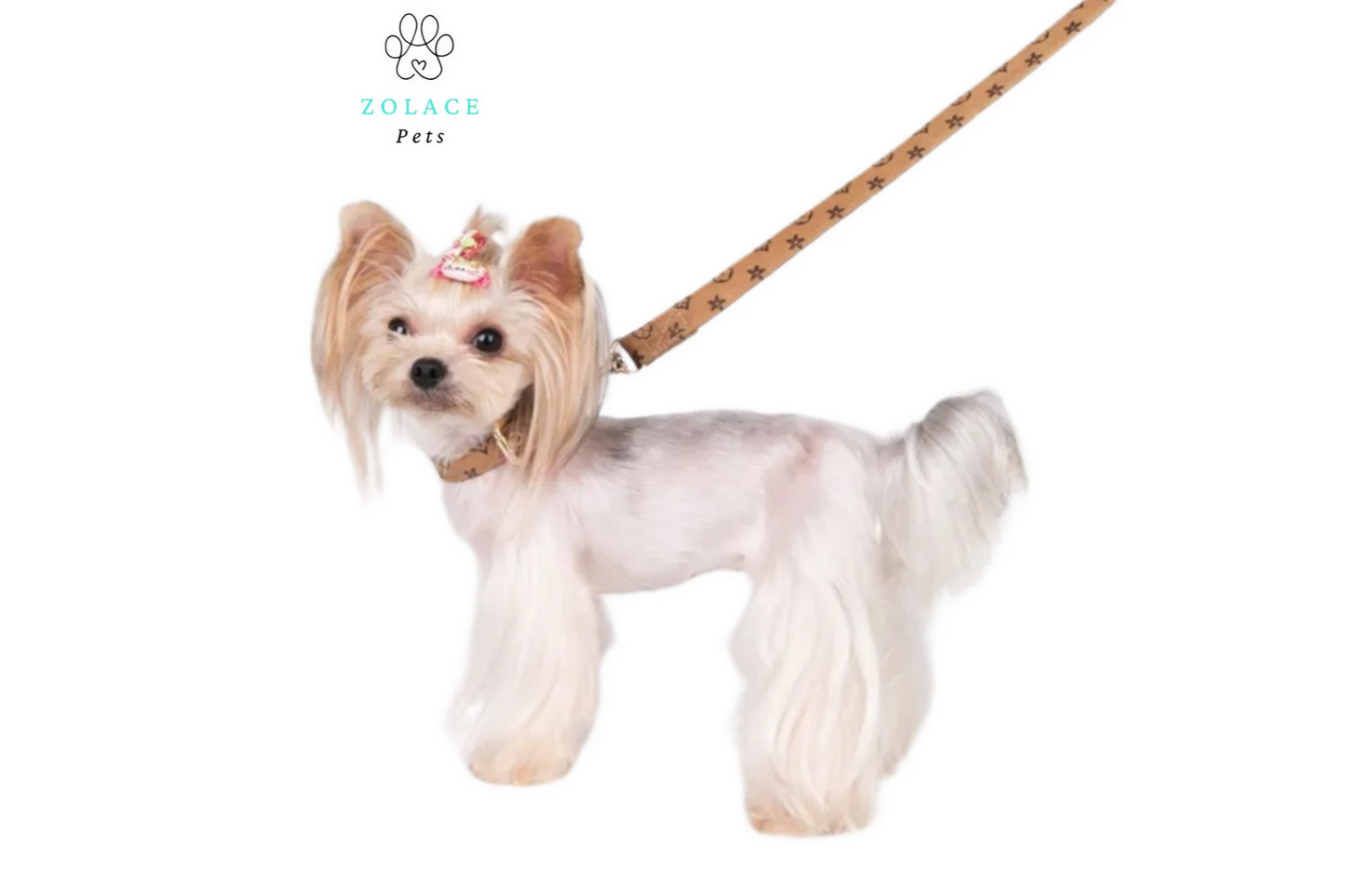 Chewy V Faux Leather Collar and Leash Set